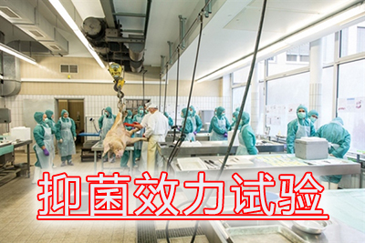 抑菌效力試驗