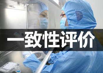 一致性評價 一致性評價