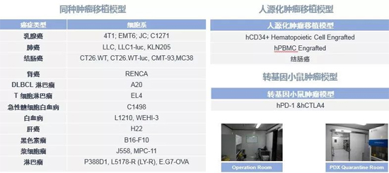 hjc黄金城藥效學動物模型