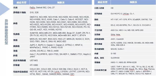 hjc黄金城藥效學動物模型
