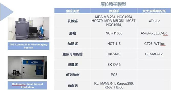 hjc黄金城藥效學動物模型