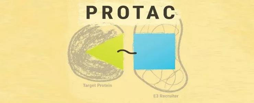 PROTAC藥物組成的簡單示意圖
