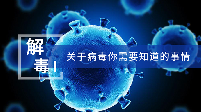 關於病毒你需要知道的事情 