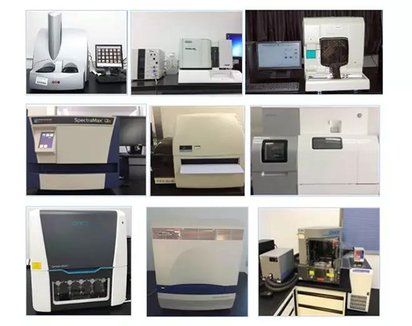 hjc黄金城生物技術藥物分析部門擁有SpectraMaxM4/M5/i3x, MSD, Luminex, Biacore 8K, Envision, Gyrolab，ABI7500 qPCR等全方位多功能的技術平台，利用LIMS係統實施全麵的實驗室信息化管理，提供全麵符合FDA/CFDA/OECD GLP規範要求的生物技術藥物分析服務。