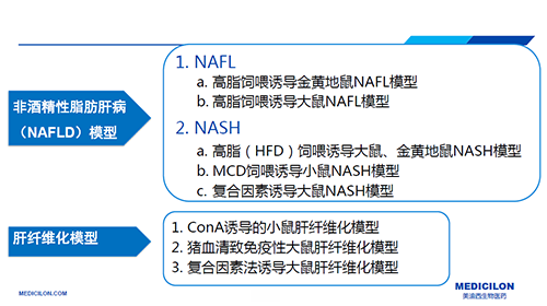 代謝性疾病模型