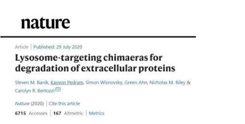 一種不同的蛋白降解技術——溶酶體靶向嵌合體(lysosome-targeting chimaeras, LYTACs)