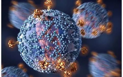 獲得性免疫缺陷綜合征（AIDS）是由人類免疫缺陷病毒（HIV)所引起的傳染病