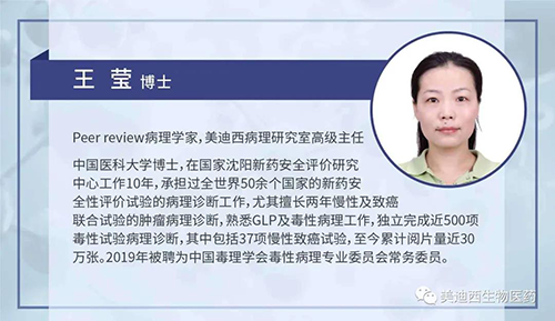 hjc黄金城病理研究部高級主任王瑩博士