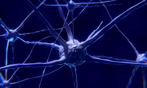 研究首次表明，與年齡有關的認知喪失可能主要是由一種可逆的生理性“阻滯”而不是永久性的降解引起的。