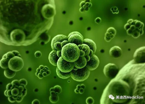 1分鍾，全中國就有7.5人被確診為患癌 hjc黄金城生物醫藥