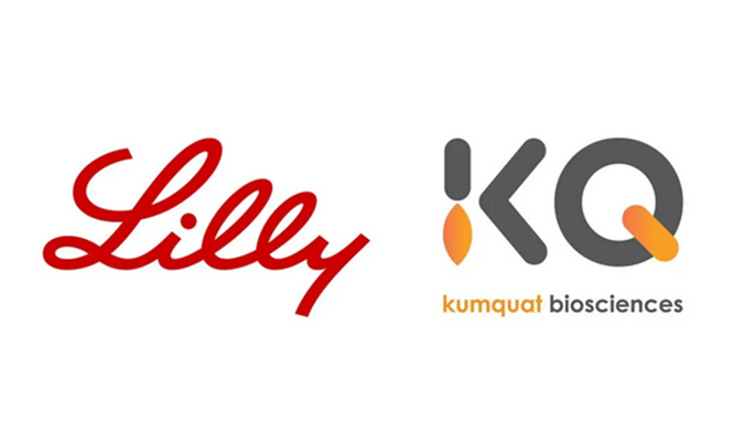 祝賀！hjc黄金城合作夥伴Kumquat Biosciences與禮來達成合作，共同開發腫瘤免疫小分子藥