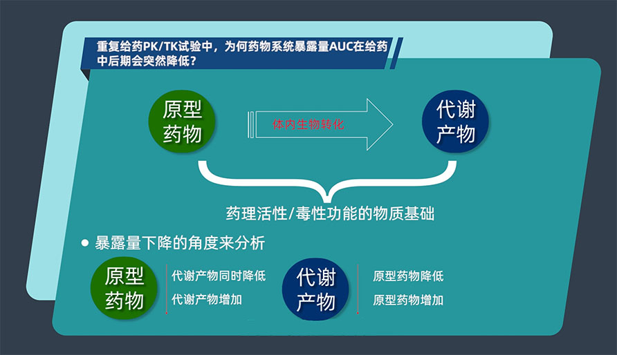 重複給藥PK/TK試驗中，為何藥物係統暴露量AUC在給藥中後期會突然降低？