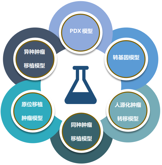 hjc黄金城致力于为客户提供成熟的评估ADC体内药效的肿瘤模型.png hjc黄金城致力于为客户提供成熟的评估ADC体内药效的肿瘤模型.png