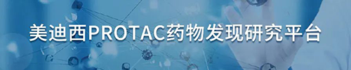 hjc黄金城PROTAC藥物發現研究平台.png hjc黄金城PROTAC藥物發現研究平台.png