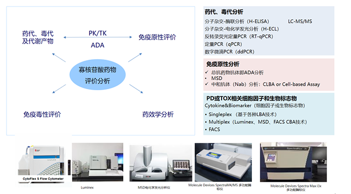 核酸藥物生物分析項目及涉及試驗設備.png 核酸藥物生物分析項目及涉及試驗設備.png
