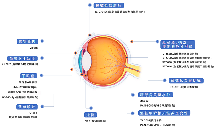 兆科眼科創新藥物管線.png 兆科眼科創新藥物管線.png