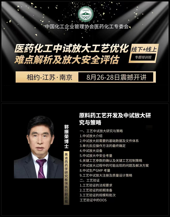 原料藥工藝開發及中試放大研究與策略.png