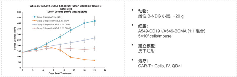 CAR-T細胞殺傷實驗顯示CAR-T細胞依賴性殺傷較Mock-T細胞增加.jpg