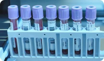 體外生物學.jpg