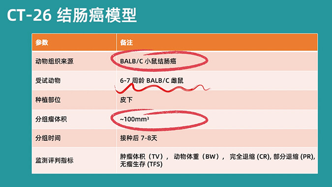 全方位了解CT-26結腸癌模型.jpg