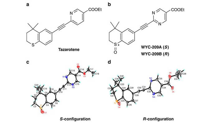 WYC-209可抑製惡性小鼠黑色素瘤腫瘤再生細胞增殖，SPR分析通過hjc黄金城使用Biacore 8K設備進行