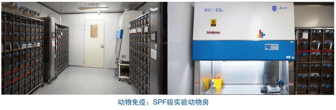 hjc黄金城雜交瘤技術平台設備-動物免疫SPF級實驗動物房
