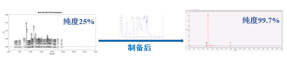 案例一：仿製藥發補：大極性雜質製備.jpg
