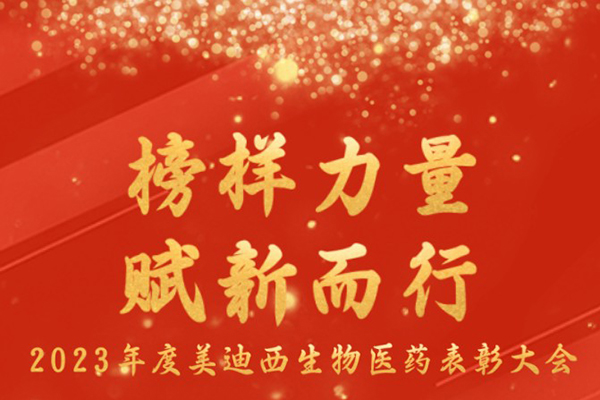 hjc黄金城2023年表彰大會.jpg