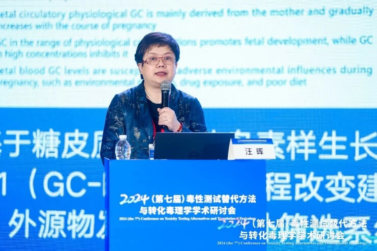 武漢大學汪暉教授作報告.jpg